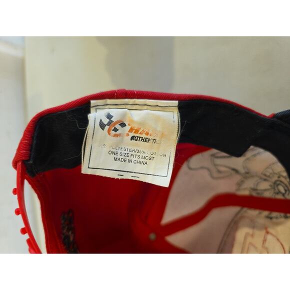 Vintage Dale Earnhardt #3 Hat Cap Taz Tasmanian Devil NASCAR Chase SnapBack RCR - Picture 5 of 9